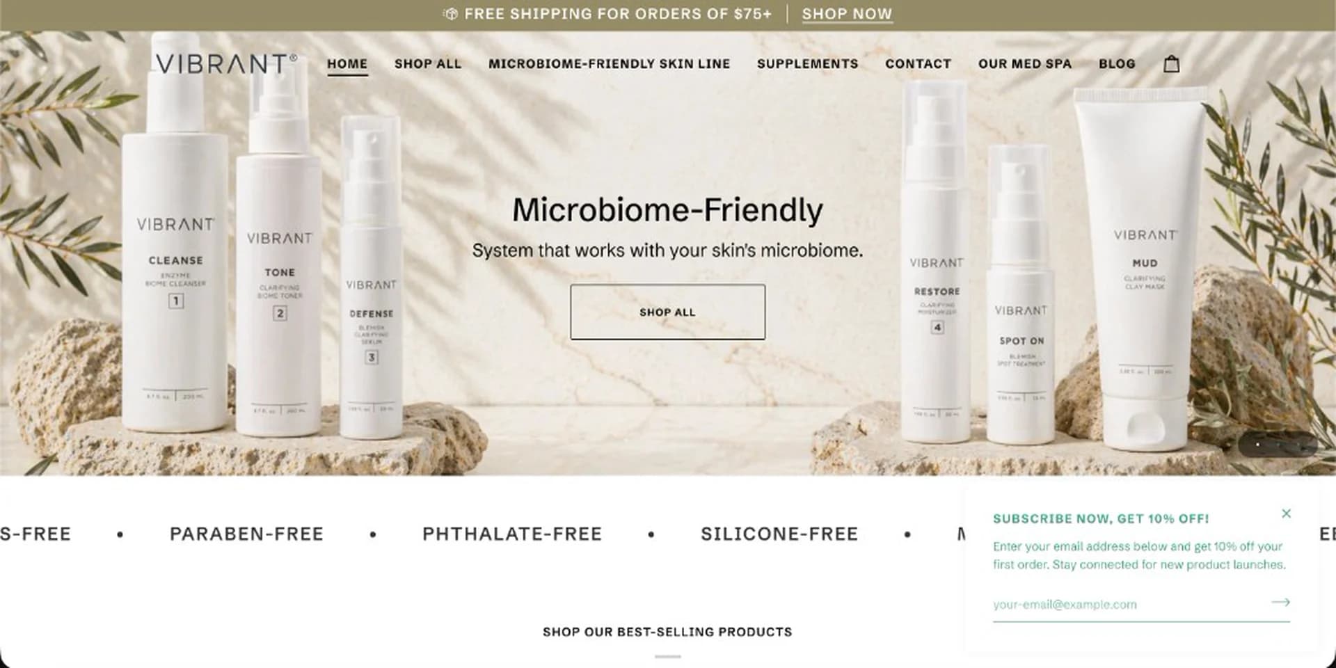 Plataforma E-commerce Vibrant Skin